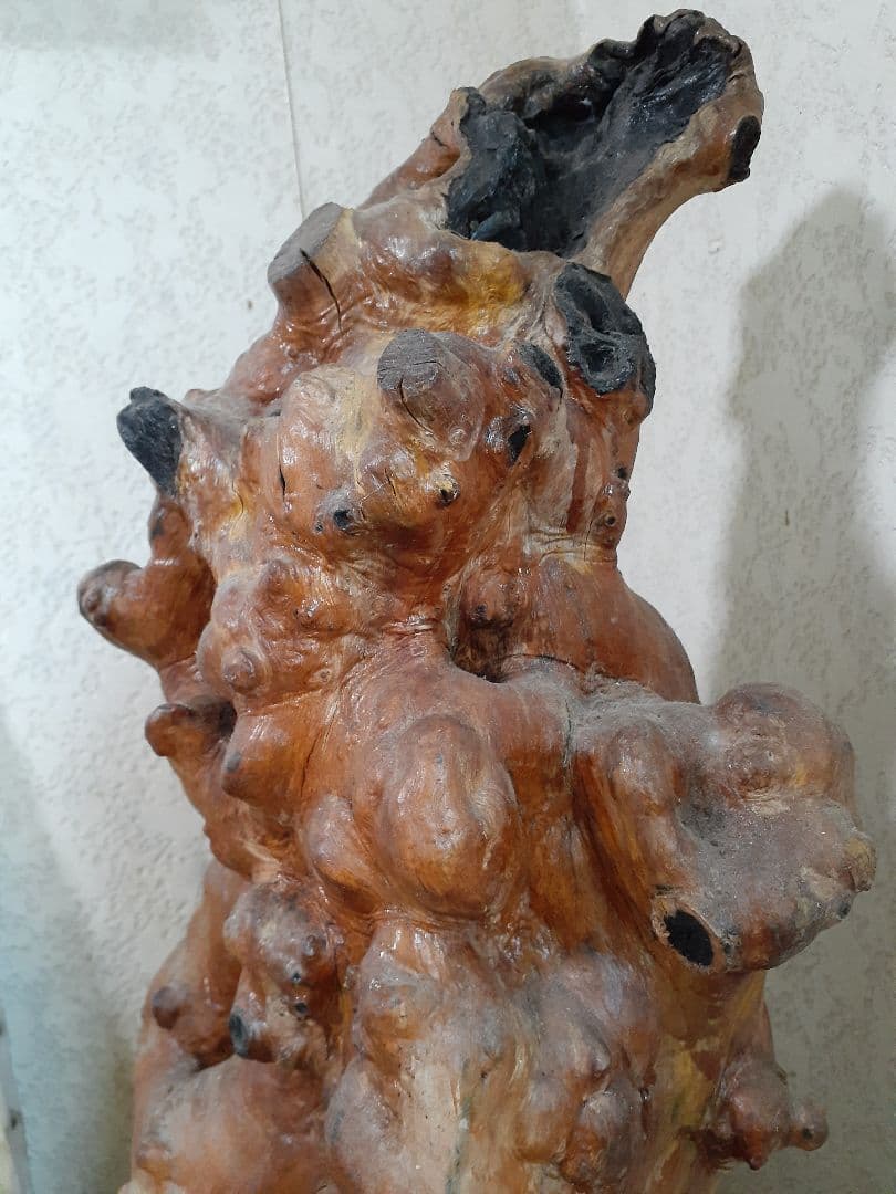 黒柿　根瘤　骨董　置き物