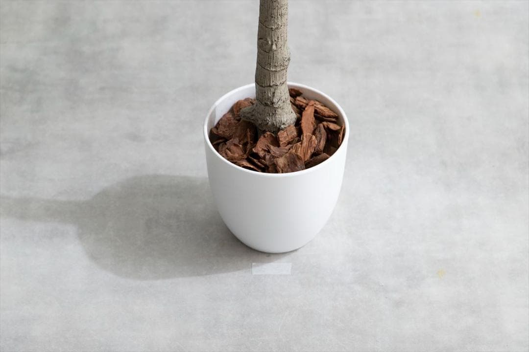 【送料無料】【高さ95cm】光触媒人工観葉植物 アレカヤシ フェイクグリーン