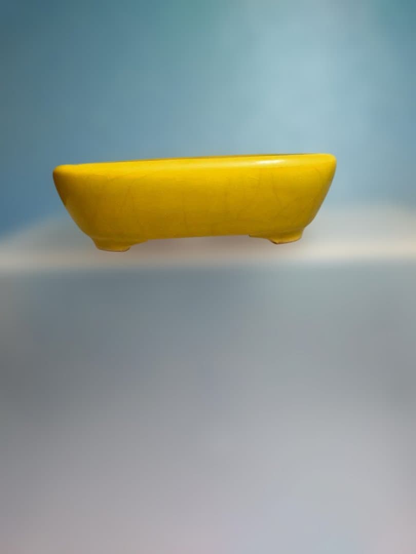 陶器製 長方形 ソーサー 黄色、小品盆栽鉢