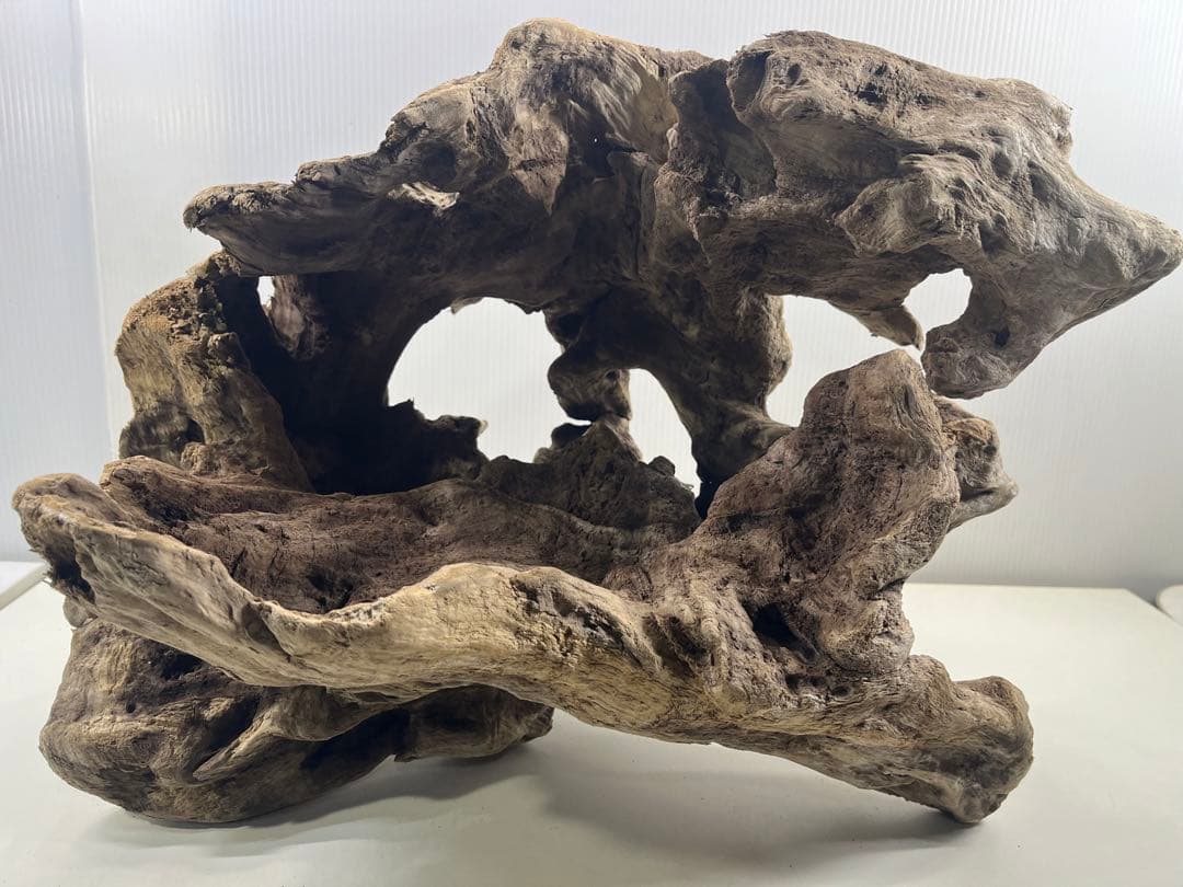 W30大型流木アク抜き済み流木 爬虫類シェルター 登り木 インテリア 生け花