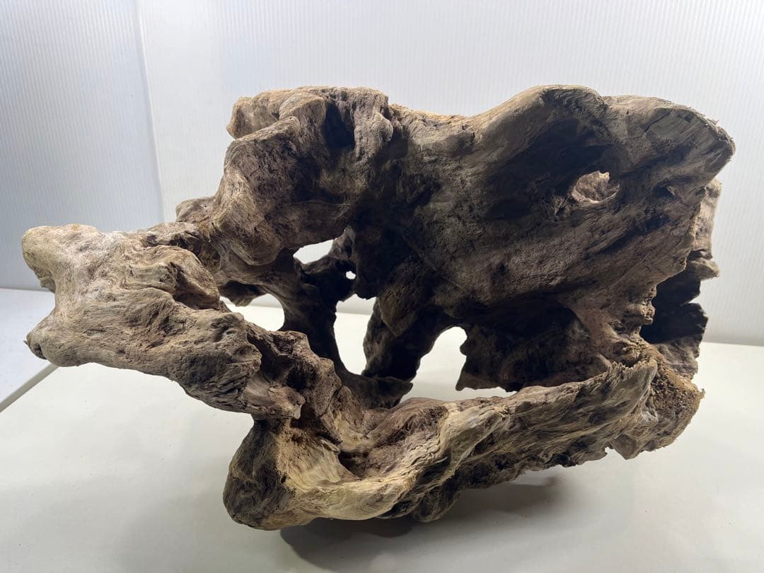 W30大型流木アク抜き済み流木 爬虫類シェルター 登り木 インテリア 生け花