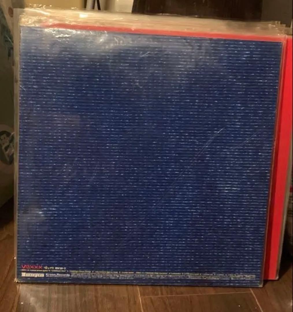 電気グルーヴ VOXXX レコード2枚組