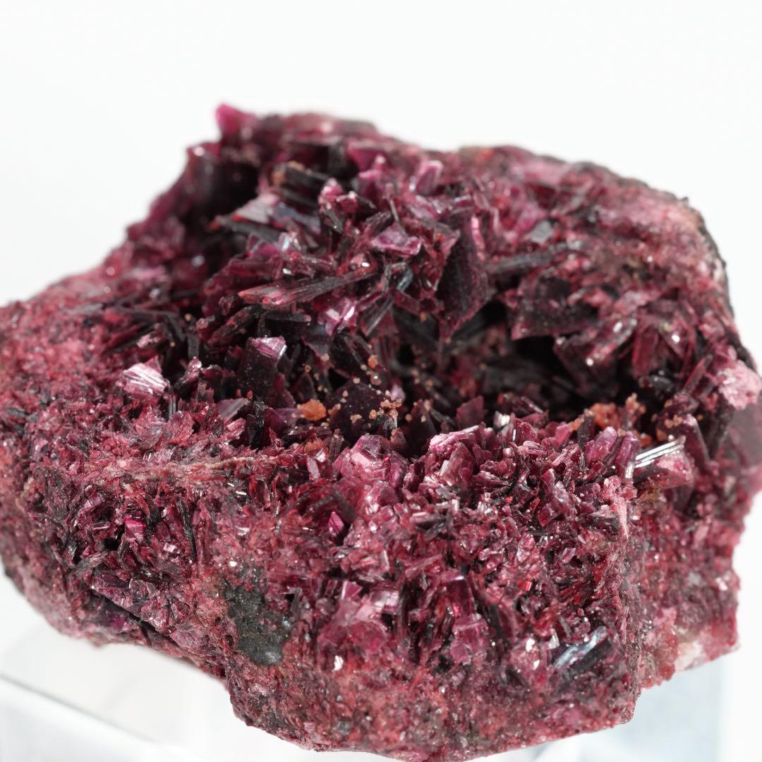 【魅惑のネオンピンクカラー】コバルト華 44×36×22mm