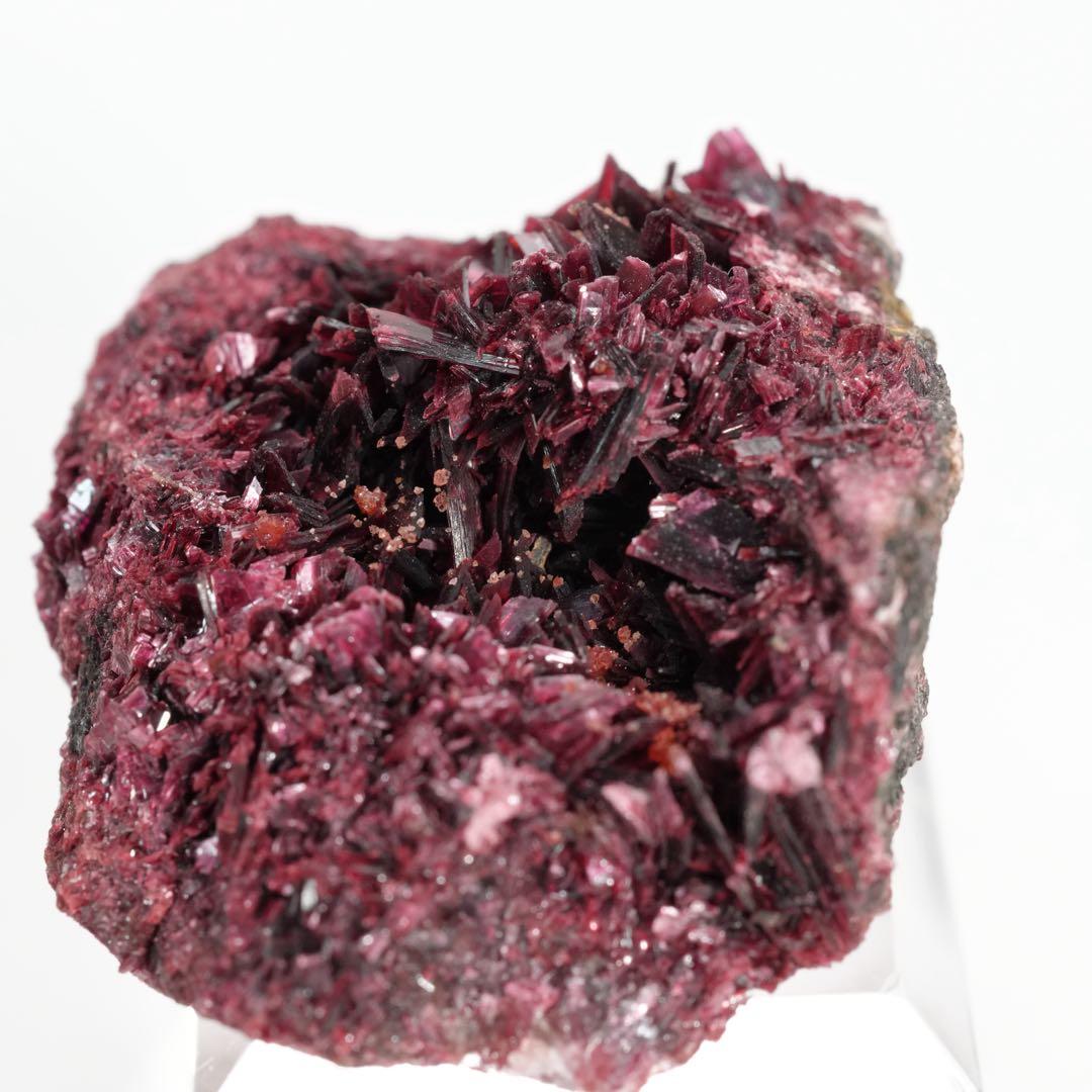 【魅惑のネオンピンクカラー】コバルト華 44×36×22mm