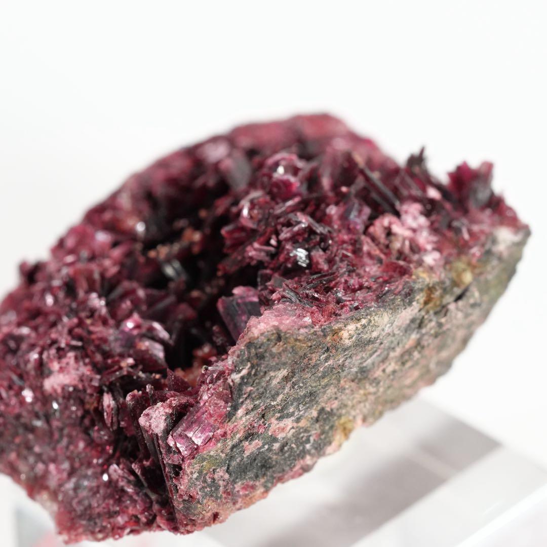 【魅惑のネオンピンクカラー】コバルト華 44×36×22mm