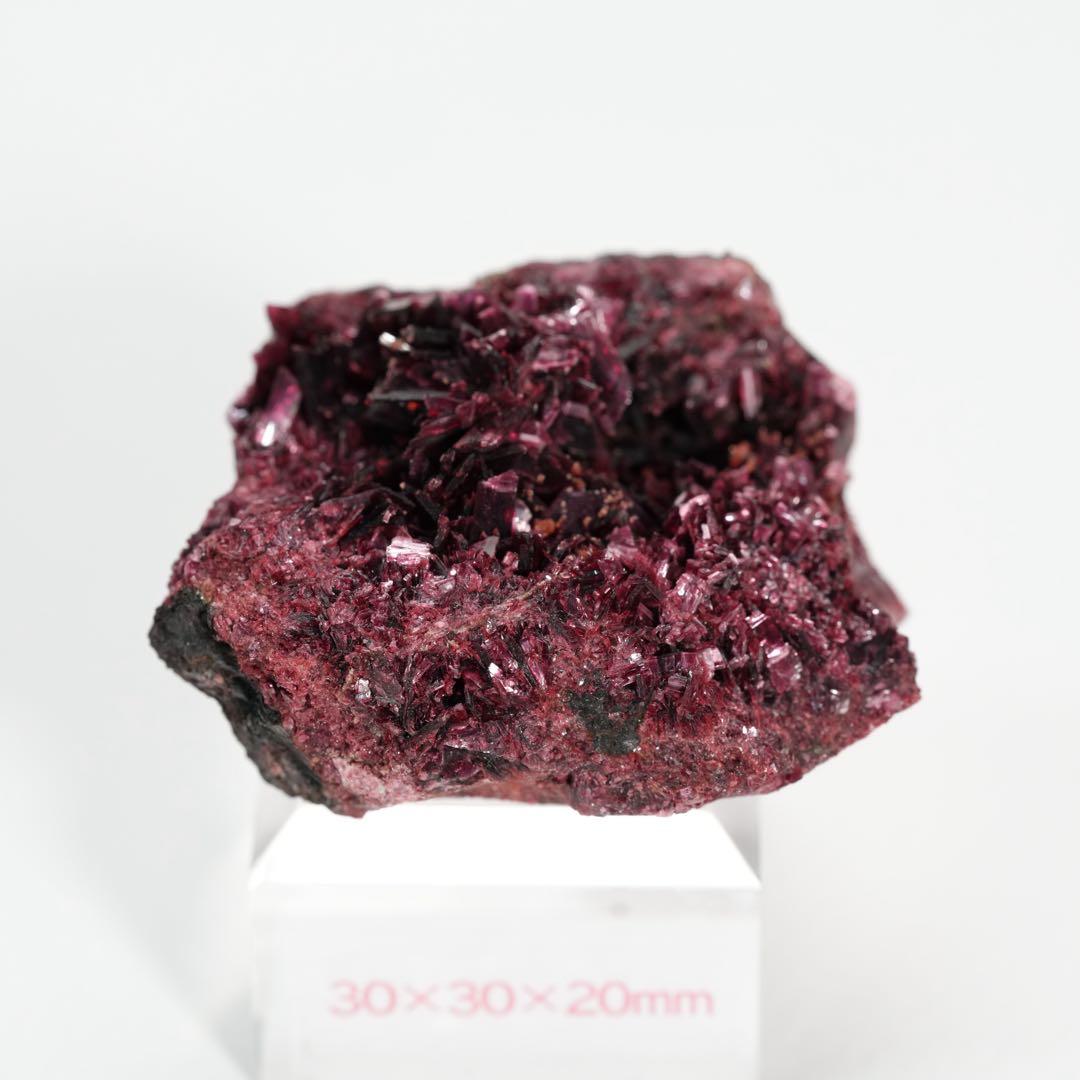 【魅惑のネオンピンクカラー】コバルト華 44×36×22mm