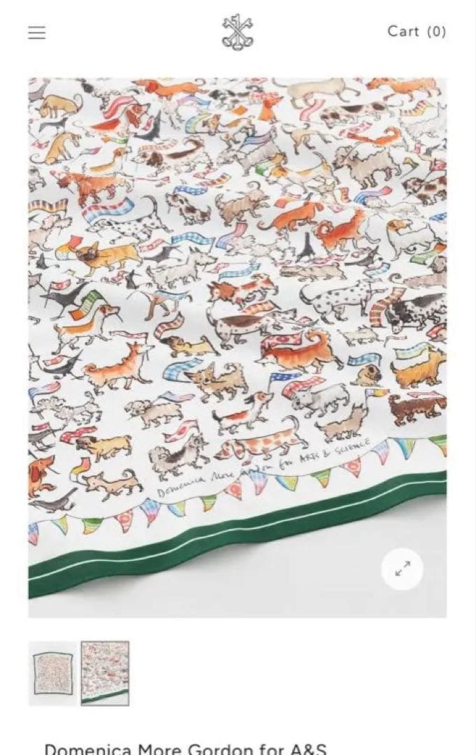 Domenica Gordon スカーフ arts&science