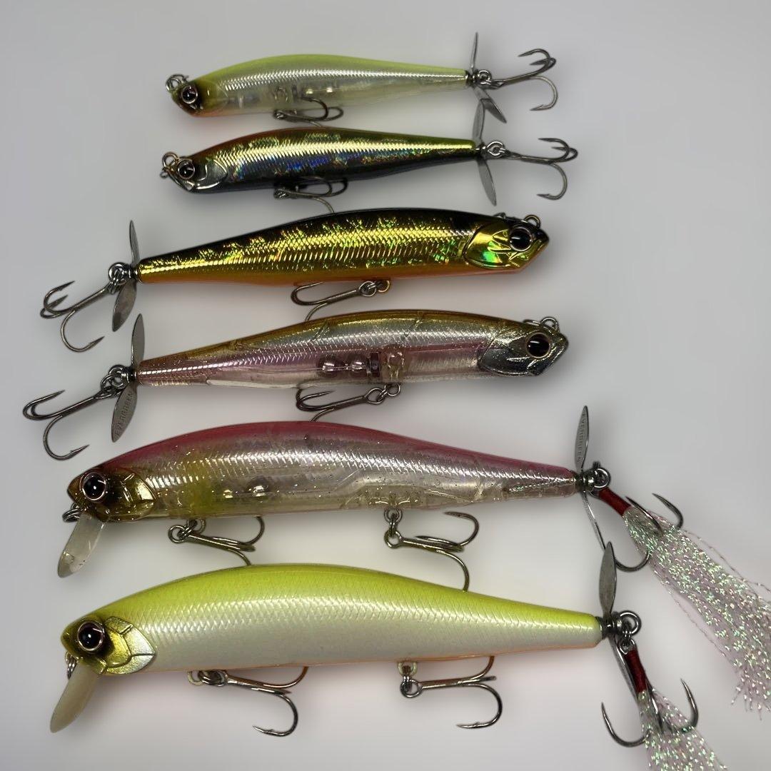 【新品未使用品】エバーグリーン３タイプ ６セット