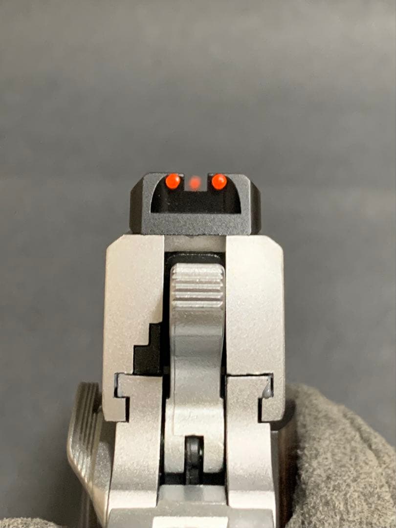 じょん様用 WA ベイビーわるきゅーれ SIG GSR まひろ ver.