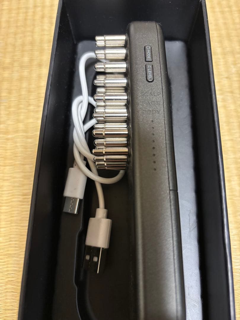 SALONIA EMS LIFT BRUSH 3D CARE ブラック