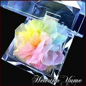 【高級プリザーブドフラワー】 パステルレインボーカーネーション ジュエリー