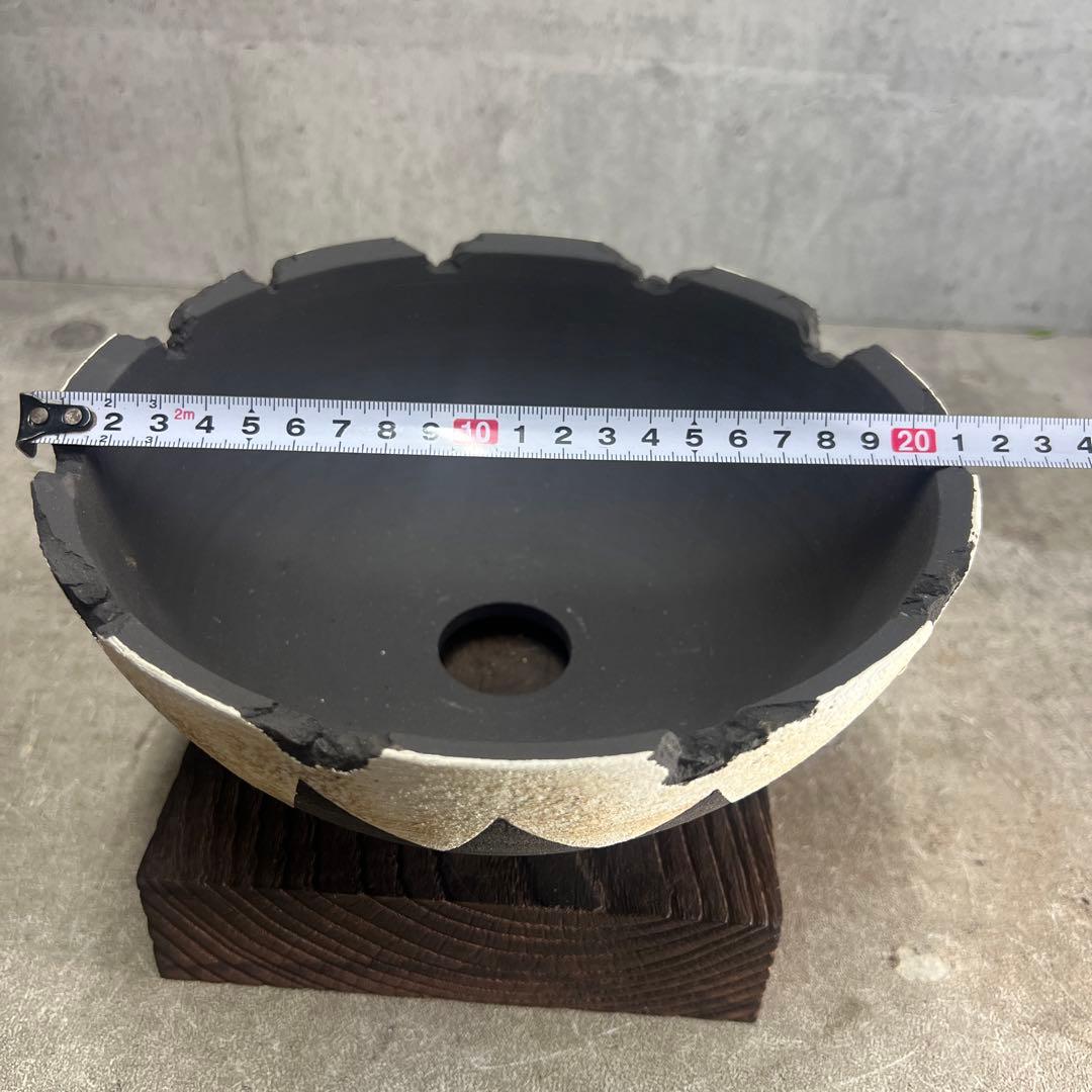 手作植木鉢 XXLサイズ 検（ 塊根植物 グラキリス パキプス アガベ)