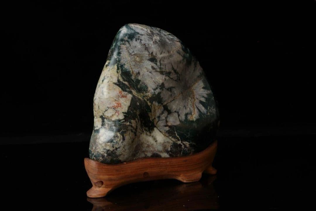 【希少・美石】菊花石 菊紋石 白菊 802g 天然石 水石 盆石 盆景 鉱物