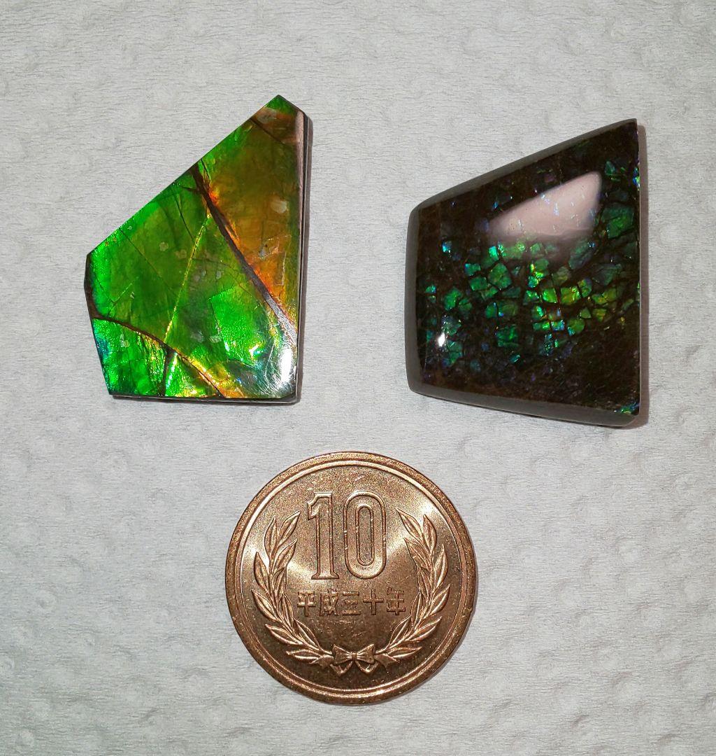 アンモライト ルース 化石 宝石 アラゴナイト