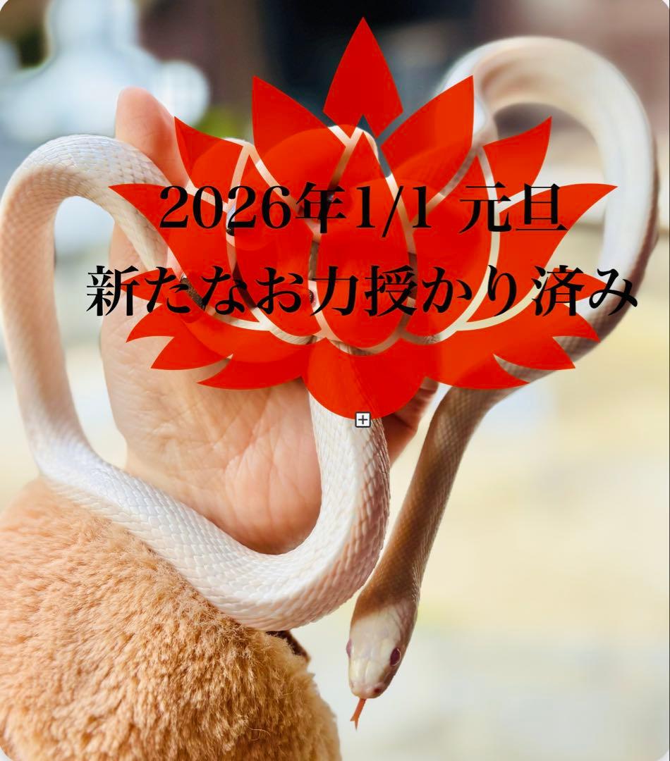 感謝価格♥超Big龍神様入♥持つ方を選ぶ神秘強POWERレムリアンシードクォーツ