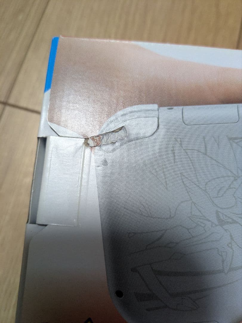 Nintendo Switch Lite ポケモンデザイン ザシアン　ザマゼンタ