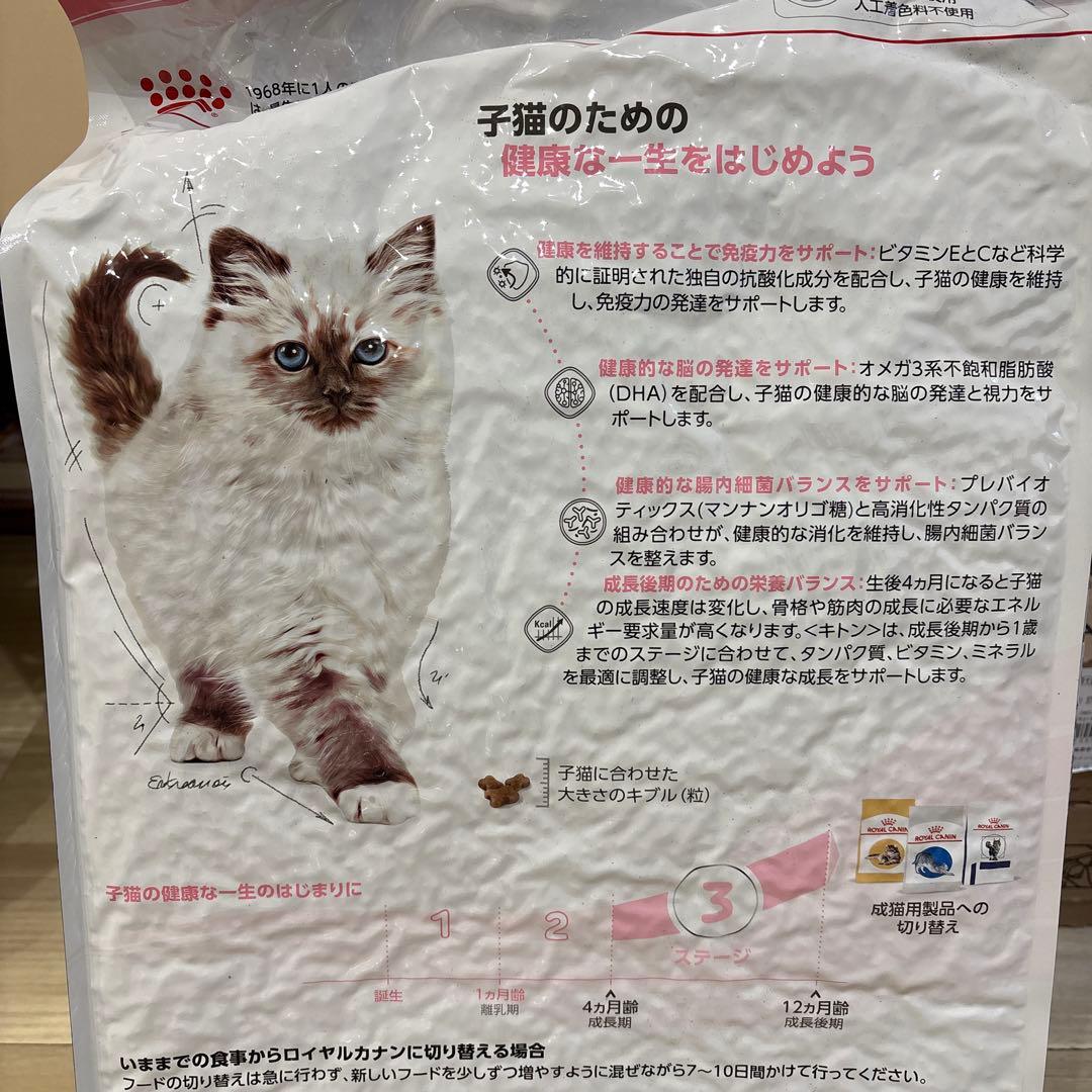 ロイヤルカナン  CANIN 成長後期の子猫用 10kg