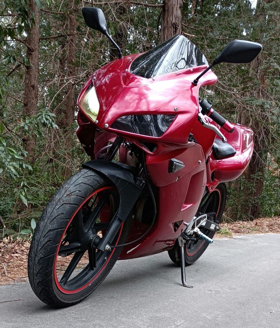 ns-1 cbr1000rr風 アッパーカウル スモークカバー付き