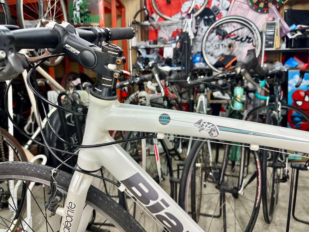 CAMALEONTE SPORT基本分解発送送料無料！完成車配送ご相談ください！