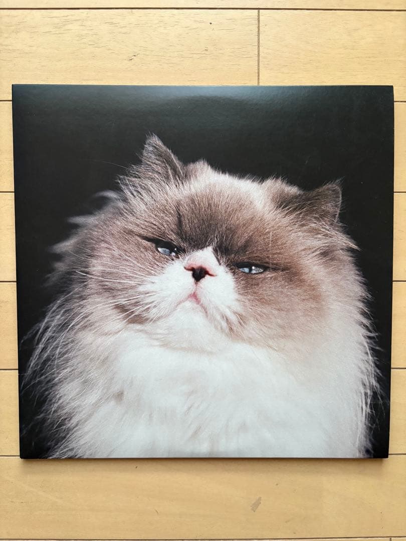 レコード カネコアヤノ『燦々』LP（重量盤）