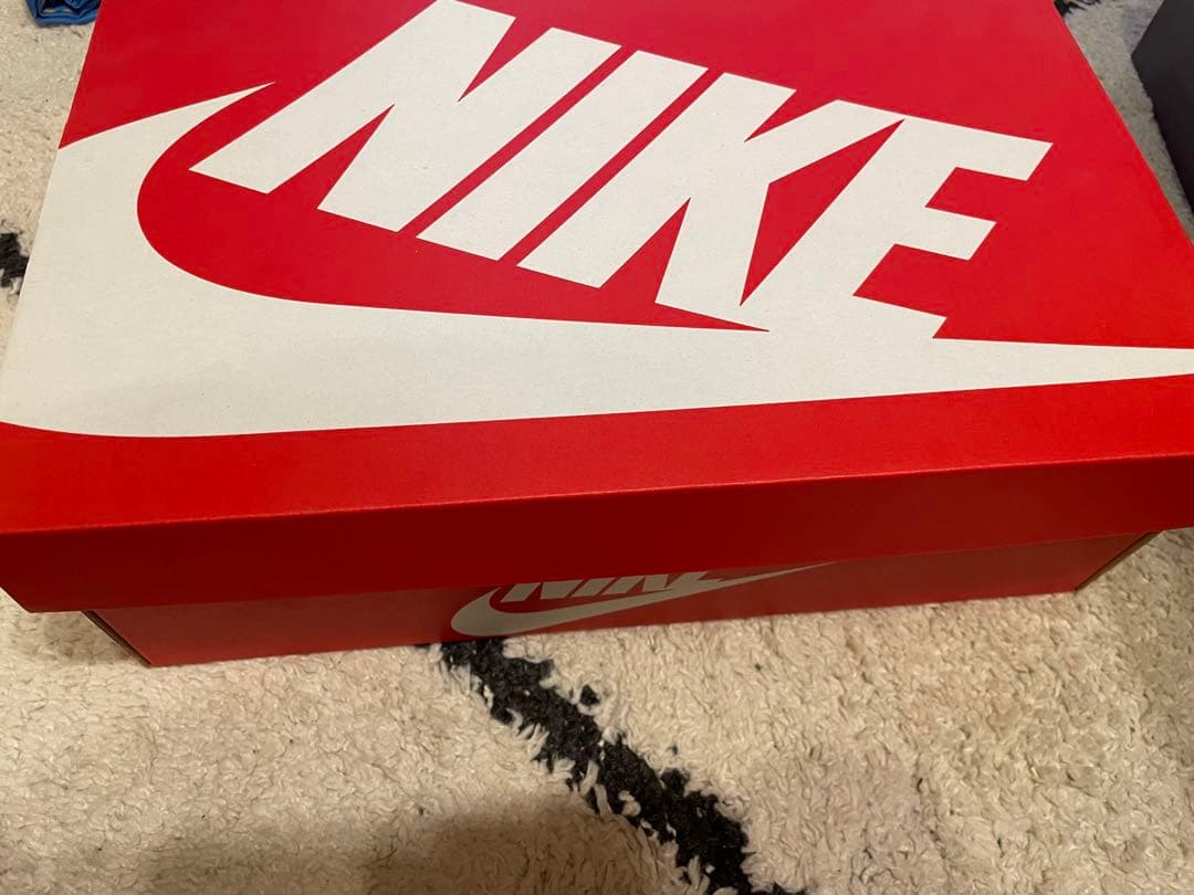 スケートボード NIKE DUNK LOW RETRO SE 9.5