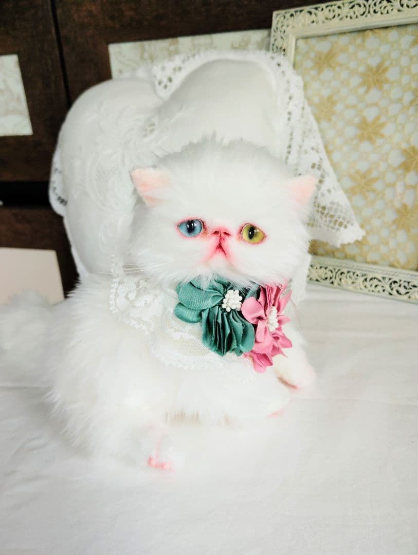 オッドアイ♡真っ白子猫ちゃん♡アートドール♡ぬいぐるみ♡