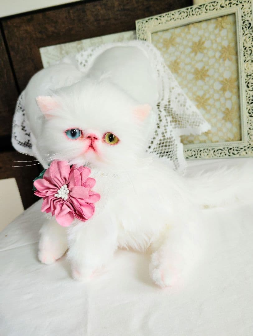 オッドアイ♡真っ白子猫ちゃん♡アートドール♡ぬいぐるみ♡
