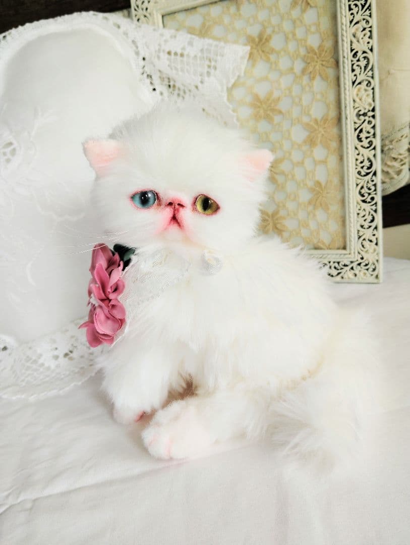 オッドアイ♡真っ白子猫ちゃん♡アートドール♡ぬいぐるみ♡