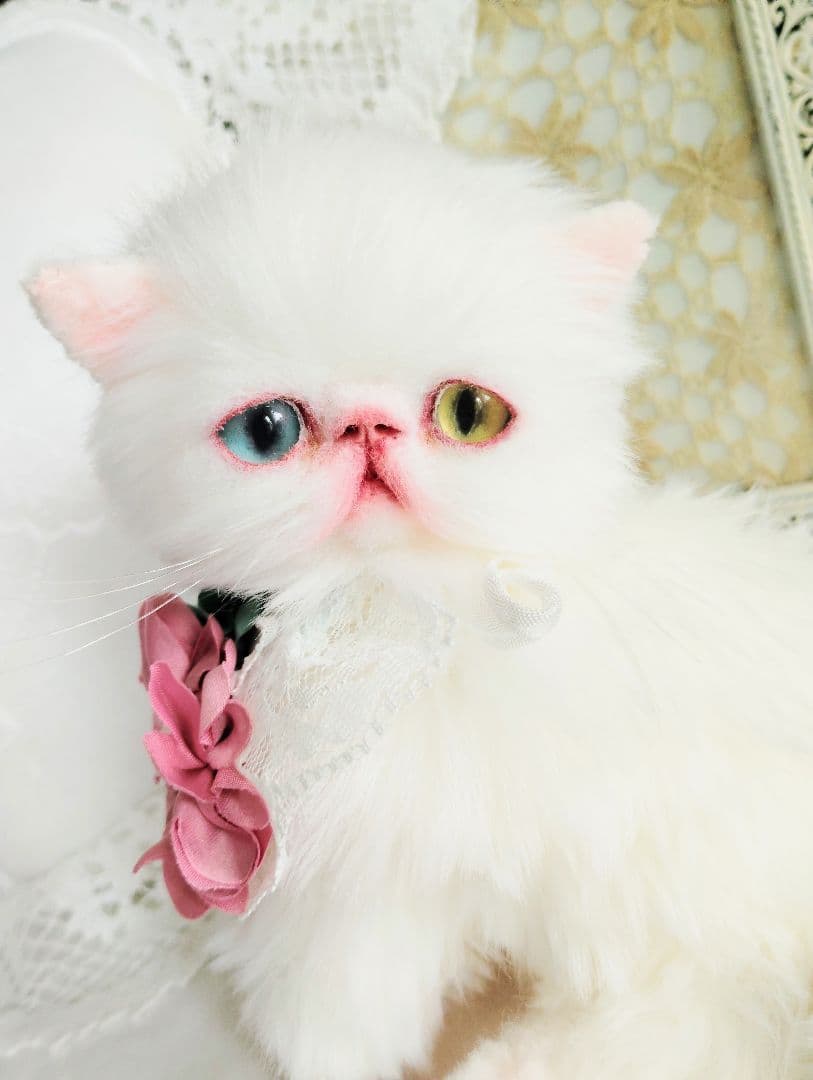 オッドアイ♡真っ白子猫ちゃん♡アートドール♡ぬいぐるみ♡
