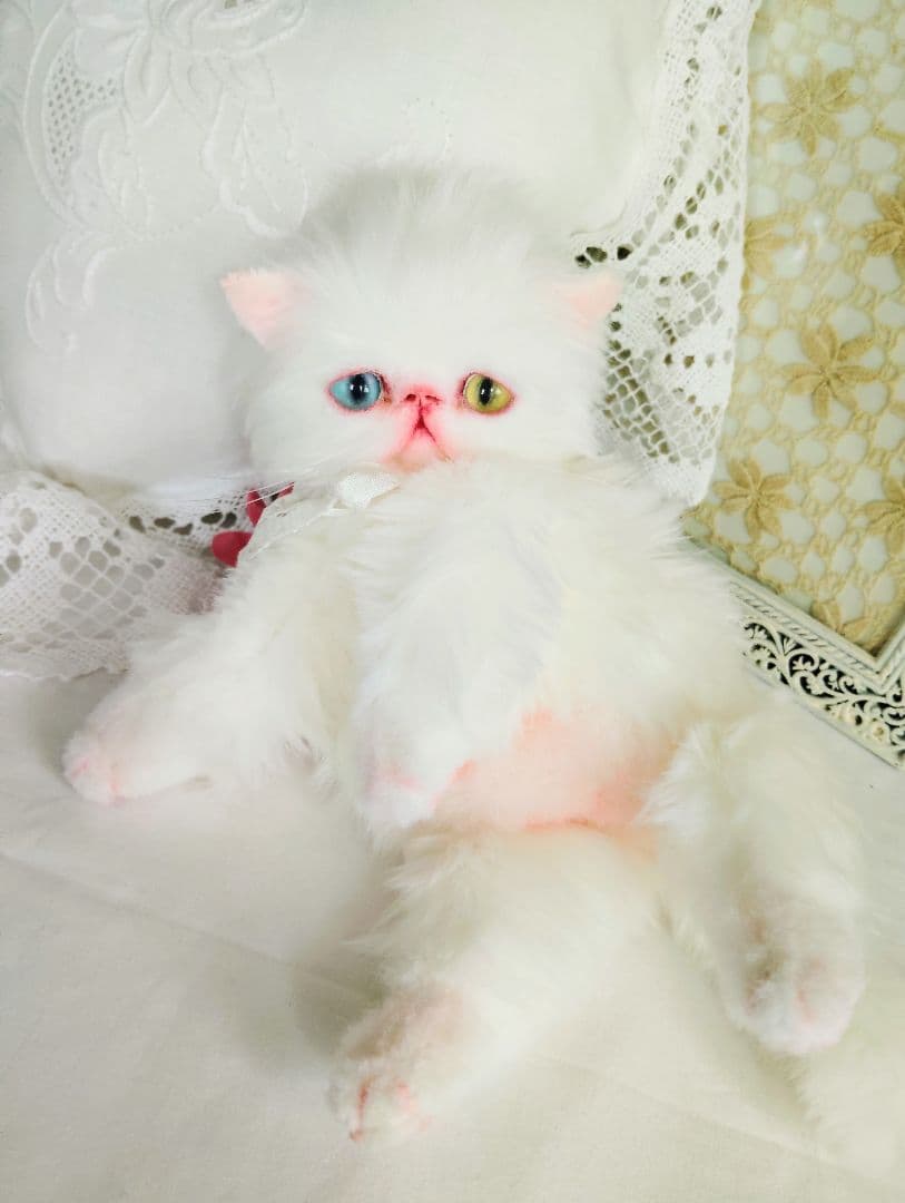 オッドアイ♡真っ白子猫ちゃん♡アートドール♡ぬいぐるみ♡