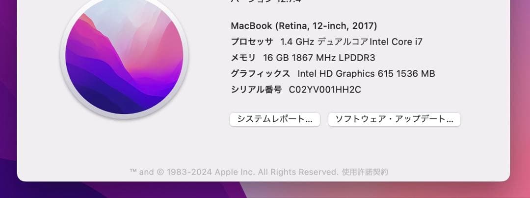 Apple MacBook 12インチ 2017 i7 16gb 512g US