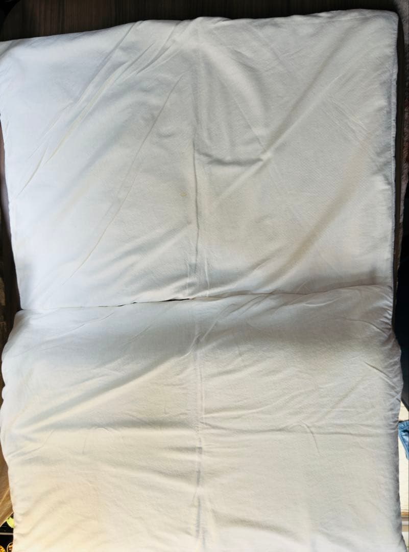 美品★定価3.7万BRAIN SLEEP PILLOW ブレインスリープ ピロー