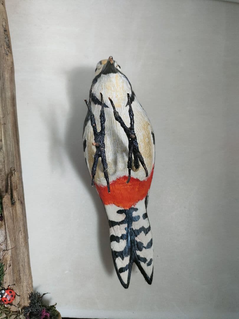 アカゲラ　バードカービング