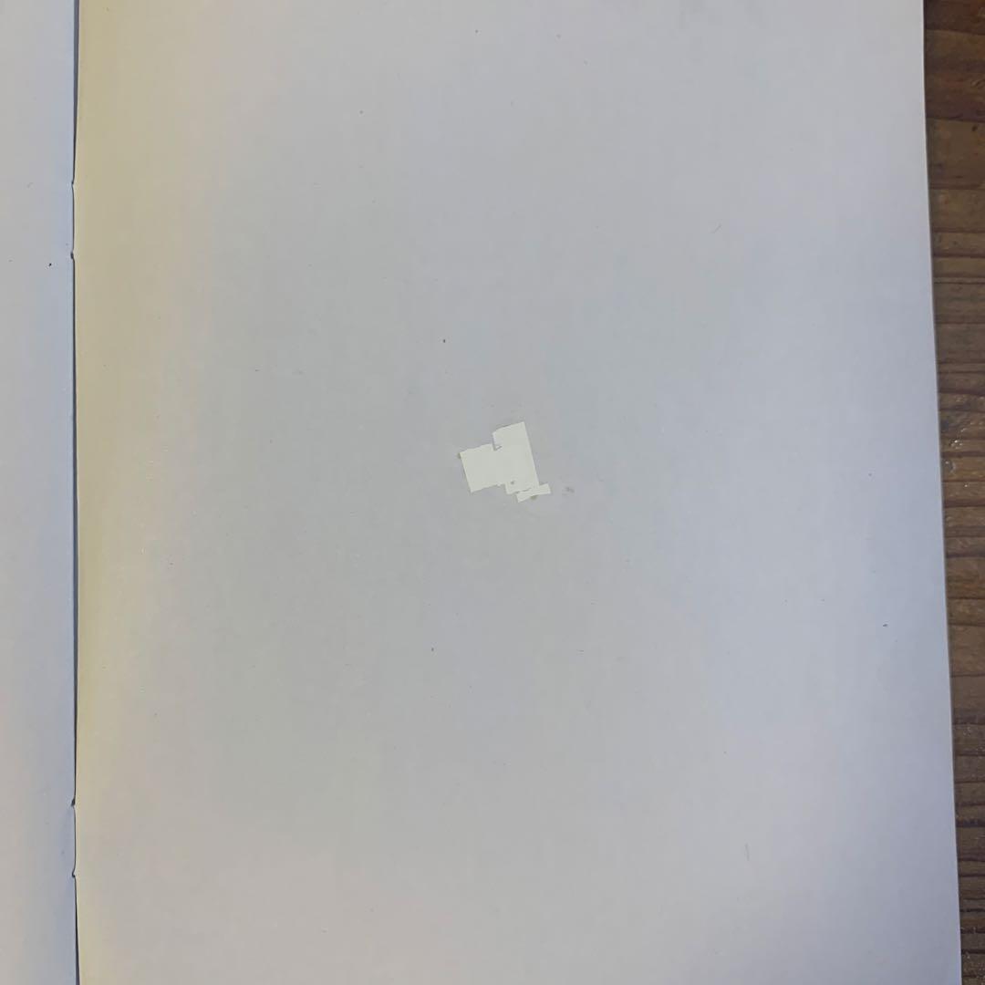 Jackery SolarSaga 200 ソーラーパネル　JS-200D