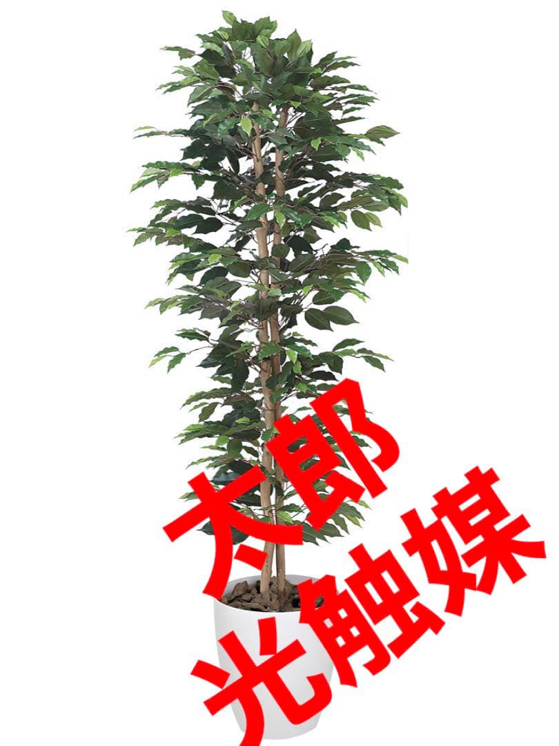 光触媒　人工観葉植物　フェイクグリーン　ベンジャミンスリム1.6m
