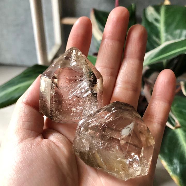 エンハイドロ セットD