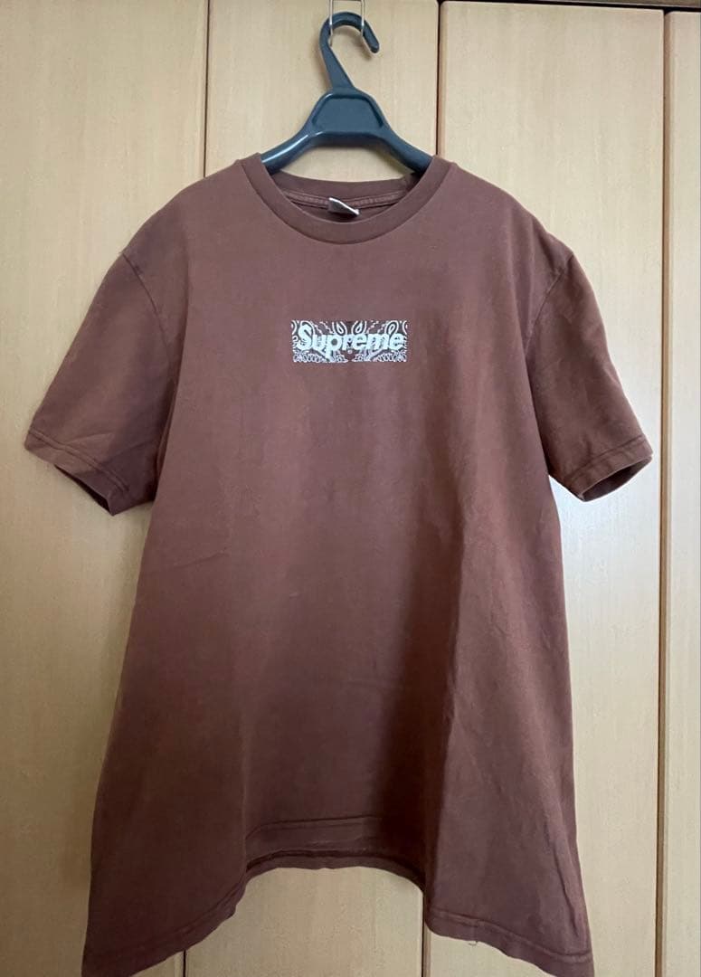 SUPREME 19AW Bandana Box Logo Tee ブラウン