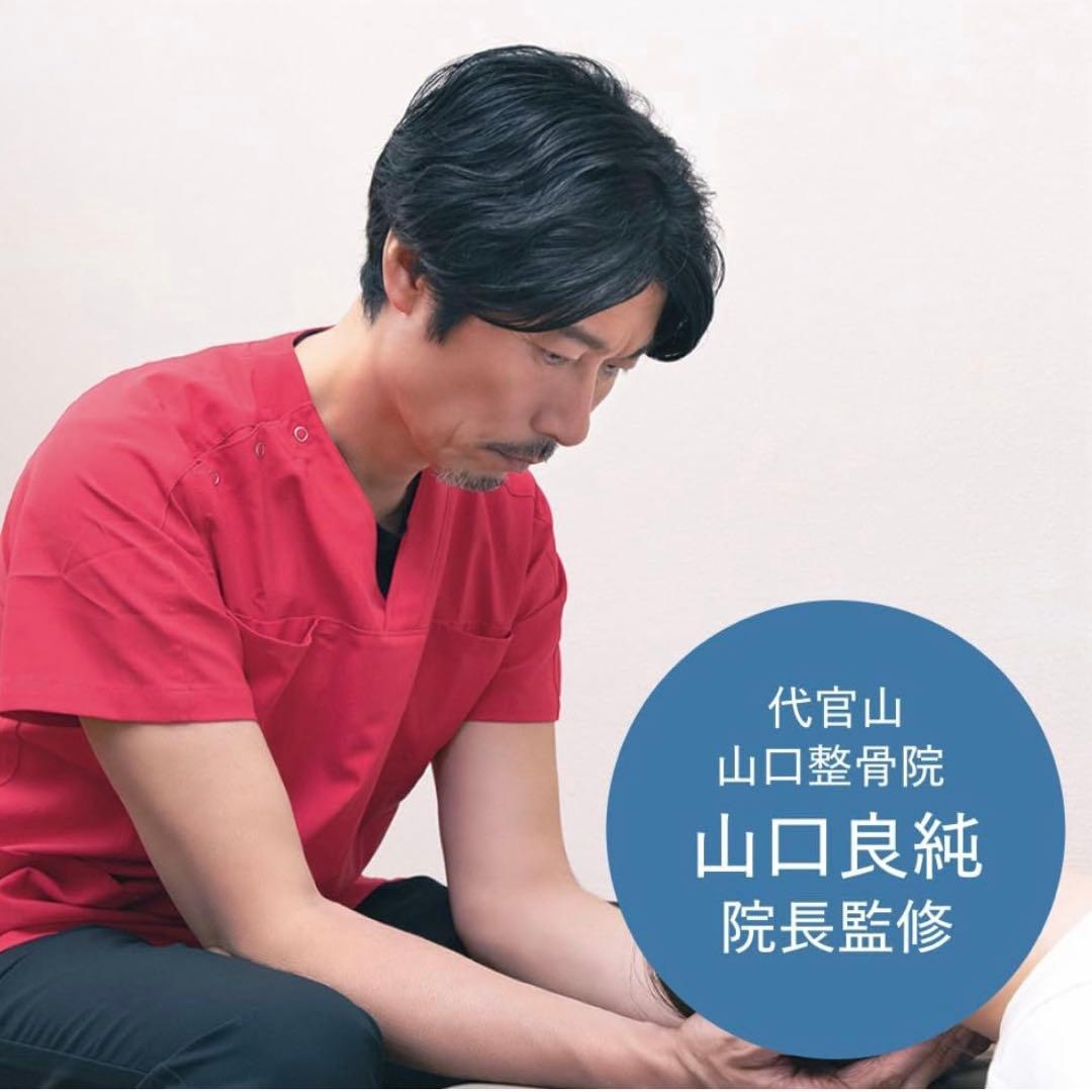 【 ドクターボーンズピロー 】Dr.Bones pillow 枕 山口良純監修