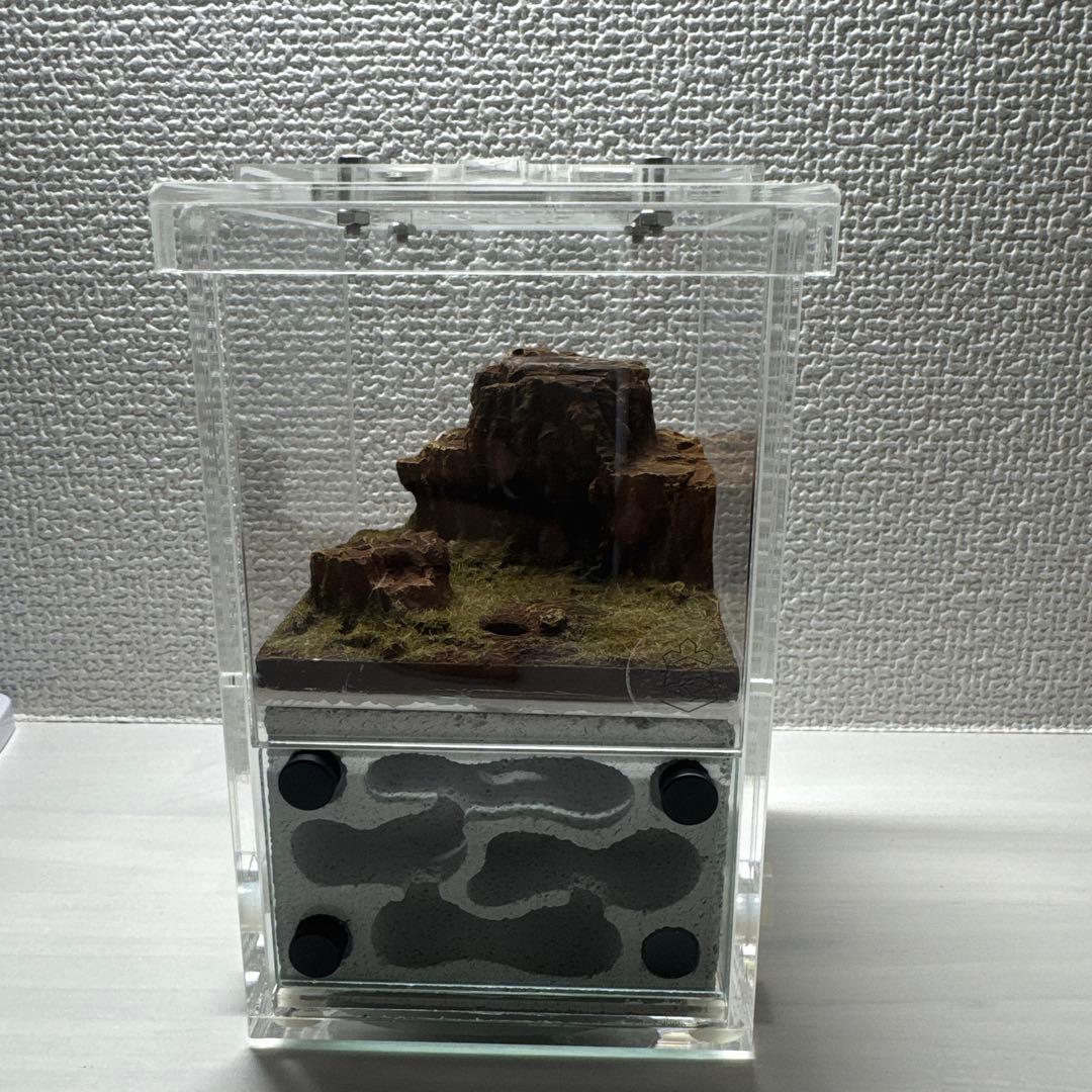 アクリル製アリ飼育キット 自然な岩レイアウト