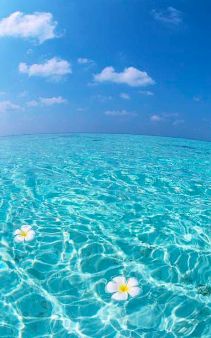 Ray'sページです♡