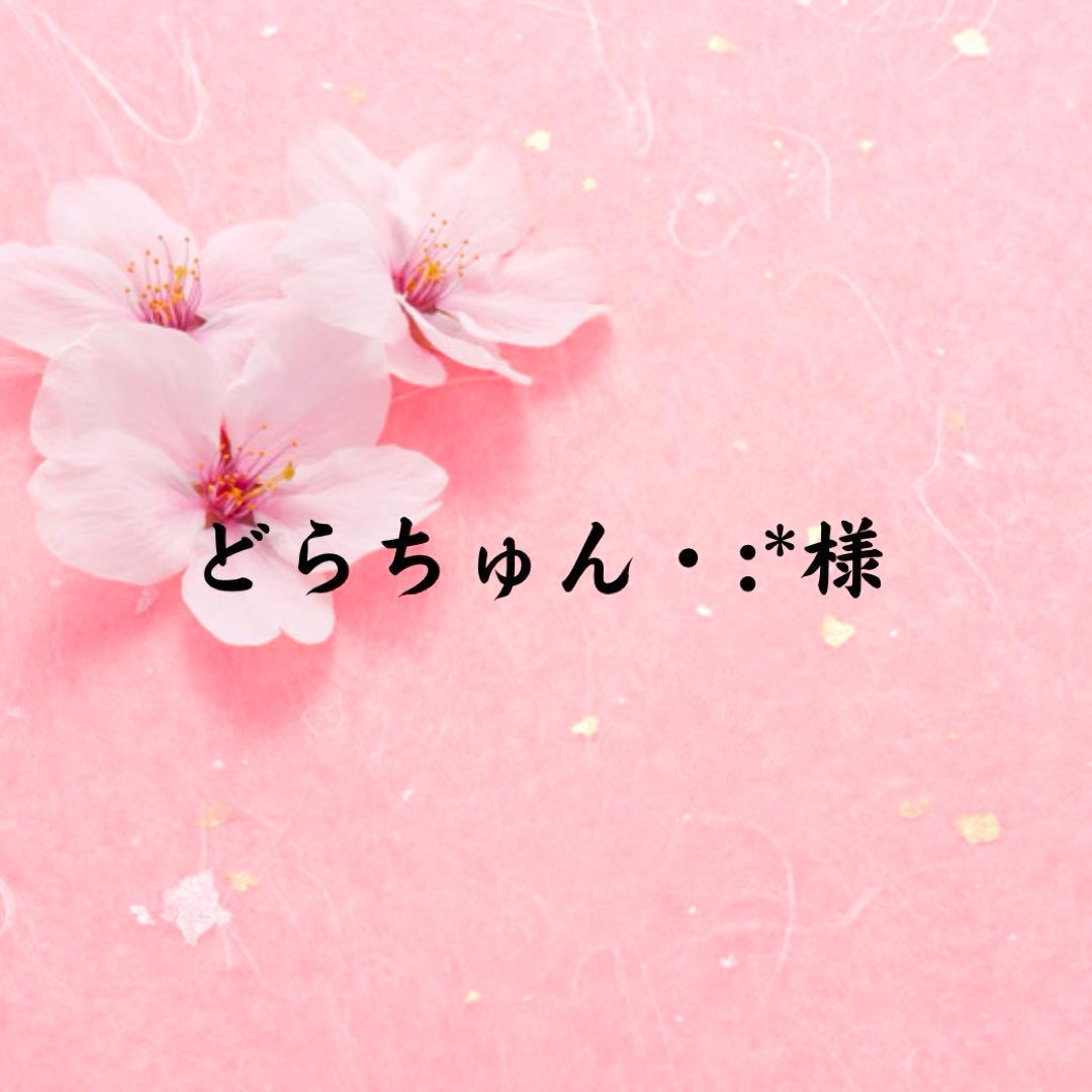 どらちゅん・:*様　ご注文分ページ