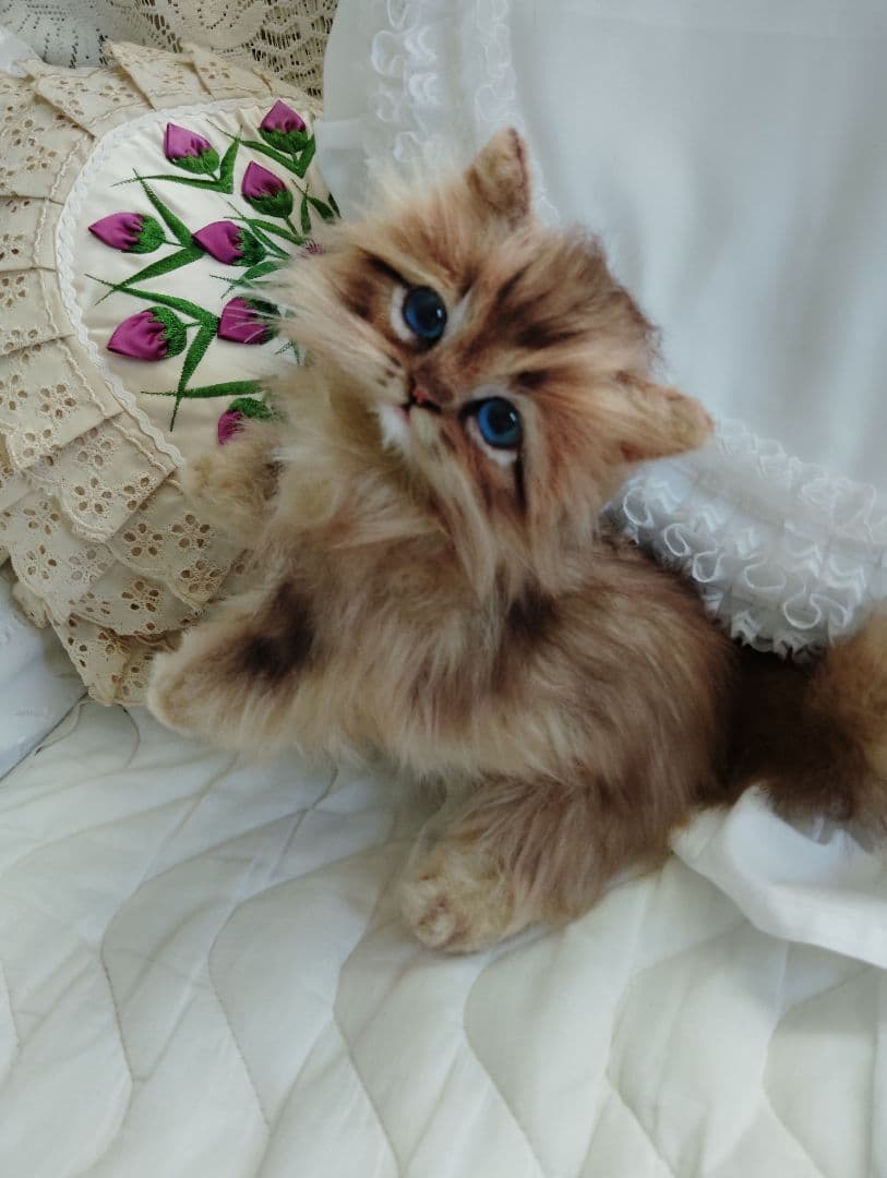 まめるん様❤️オーダー❤️可愛い可愛い愛猫ちゃん❤️アートドール♡ぬいぐるみ♡