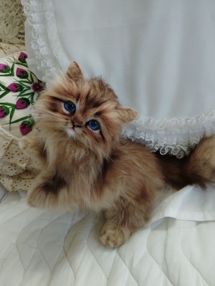 まめるん様❤️オーダー❤️可愛い可愛い愛猫ちゃん❤️アートドール♡ぬいぐるみ♡