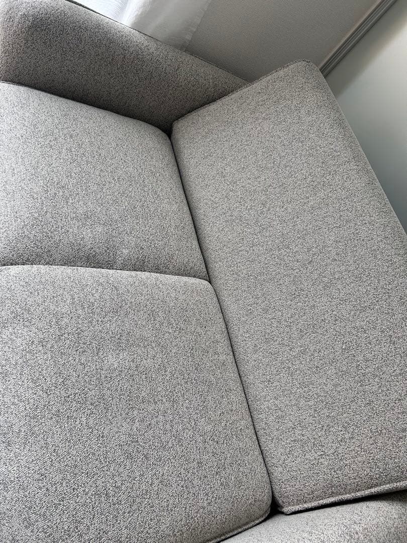 【⭐︎即購入OKさんです⭐︎さま専用】コアラソファーベッド CUSHY