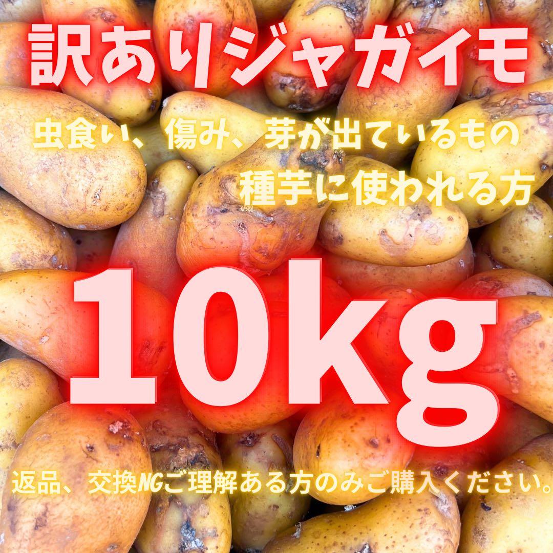 じゃがいも　メークイン　訳あり　11