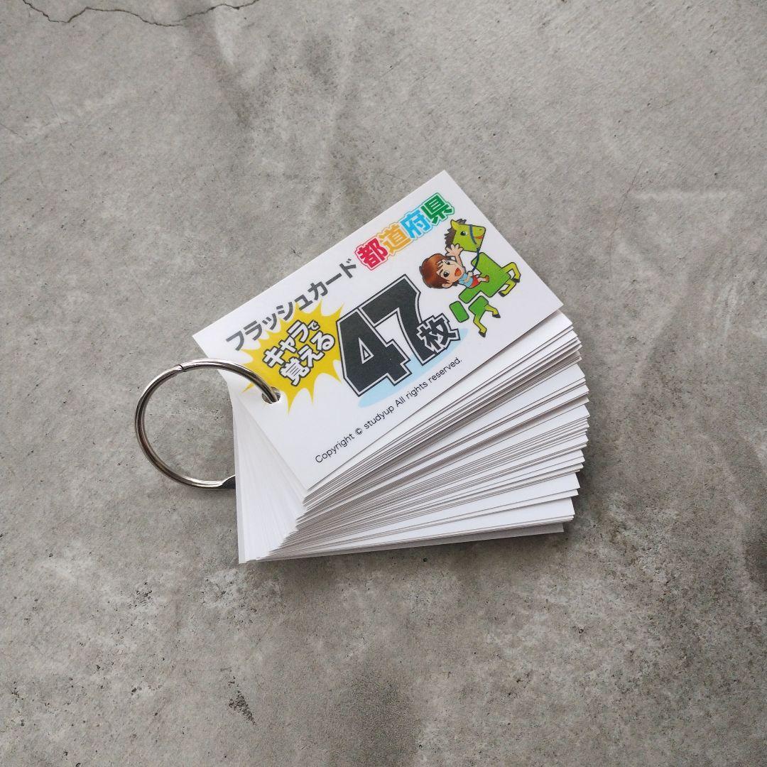 スタディアップ 中学受験 社会科 白地図ピース 重ねて覚える191ピース