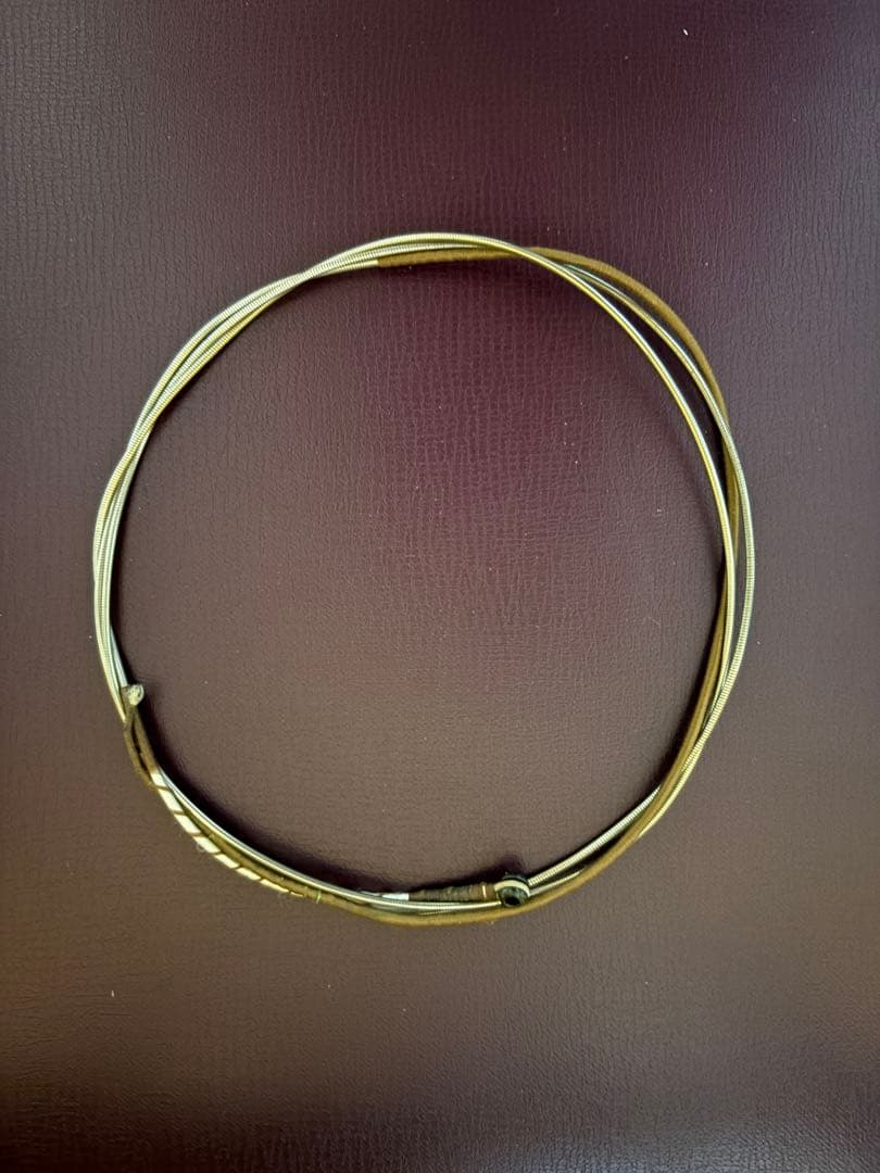 【中古チェロ弦】ピラストロ PASSIONE (G,C線)