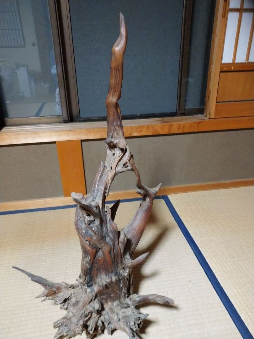 置物  木の根  かぶた