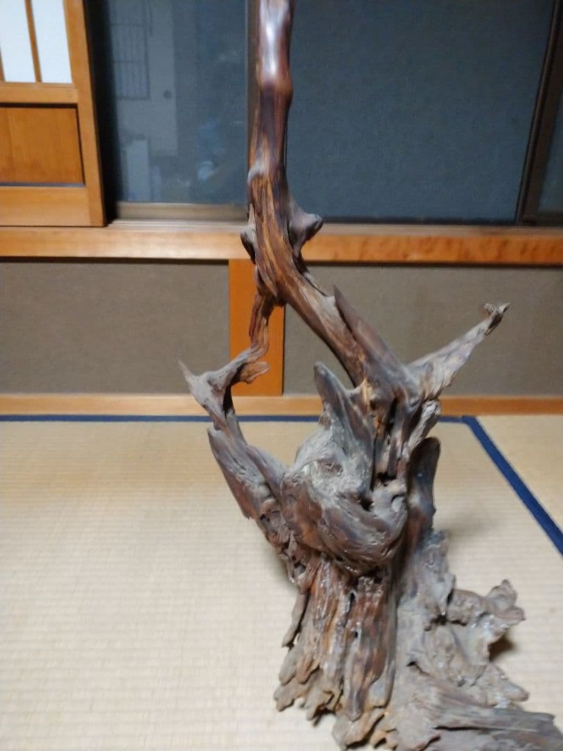 置物  木の根  かぶた