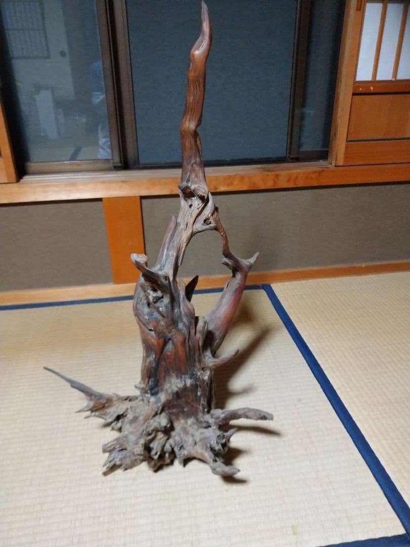 置物  木の根  かぶた